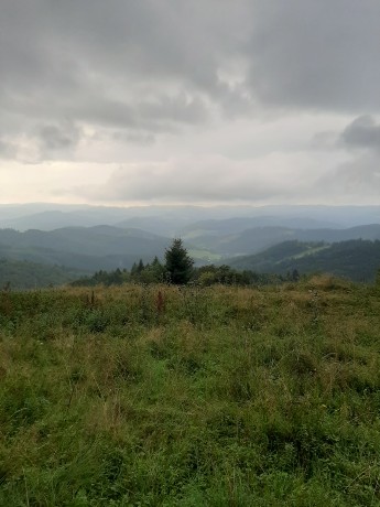 20220828_175109
