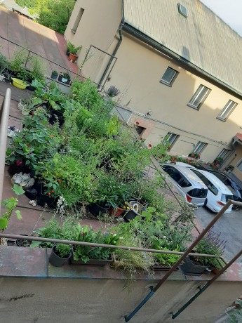 20250706_075633